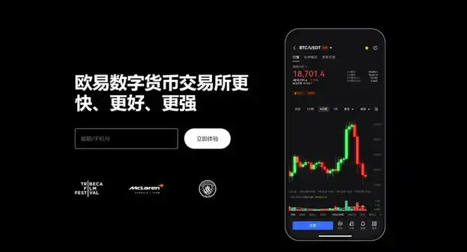 国际数字资产平台平台展示图